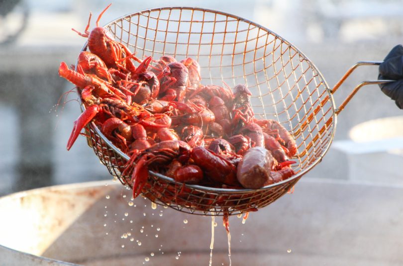 Crawfish: The Lobster of the South